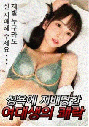 秋声慢剧集海报，秋日窗景与旧木椅